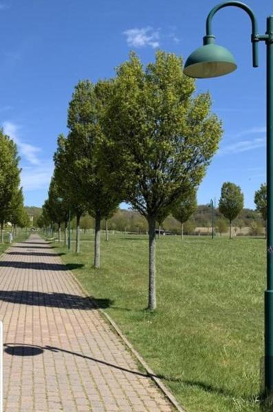 Neddesitz Ferienapartment Wiese & Meer Auf Ruegen מראה חיצוני תמונה